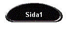 Sida1