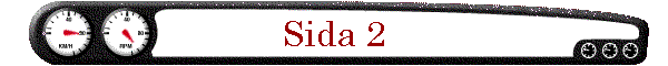 Sida 2
