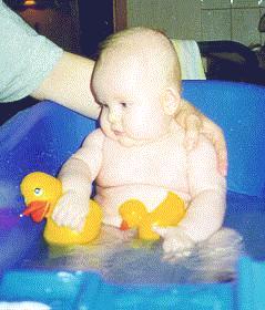 hedwig2.jpg (15870 bytes)