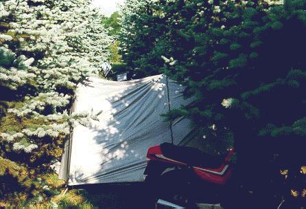 silvergranar.jpg (35138 bytes)