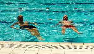 pol.jpg (19295 bytes)